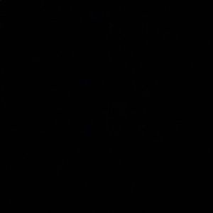 Meet your Posher, Darius